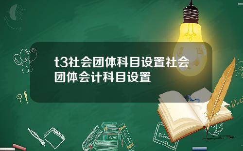 t3社会团体科目设置社会团体会计科目设置