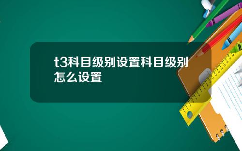 t3科目级别设置科目级别怎么设置