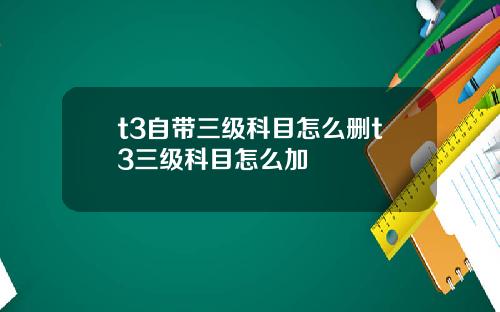 t3自带三级科目怎么删t3三级科目怎么加