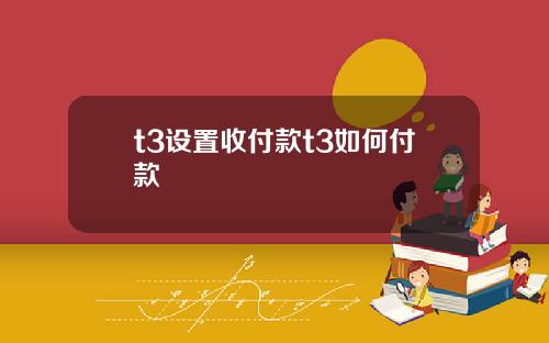 t3设置收付款t3如何付款