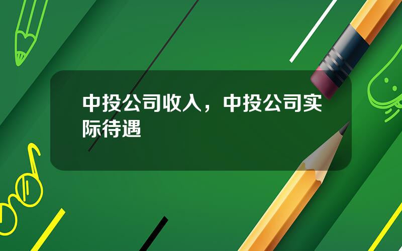 中投公司收入，中投公司实际待遇