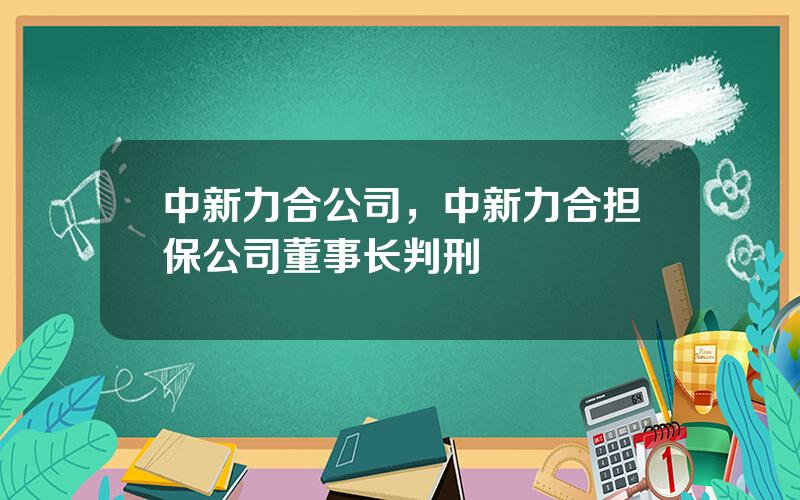 中新力合公司，中新力合担保公司董事长判刑