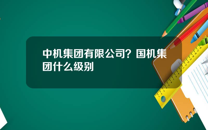 中机集团有限公司？国机集团什么级别