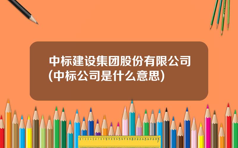 中标建设集团股份有限公司(中标公司是什么意思)