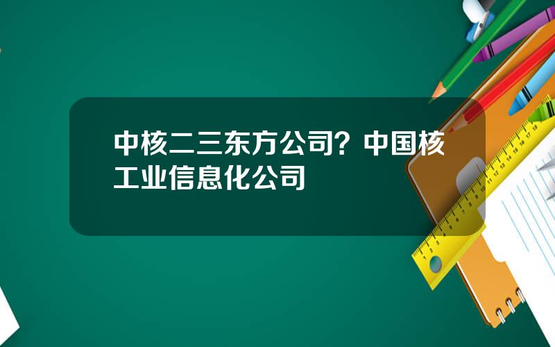 中核二三东方公司？中国核工业信息化公司