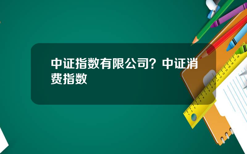 中证指数有限公司？中证消费指数