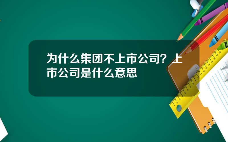 为什么集团不上市公司？上市公司是什么意思