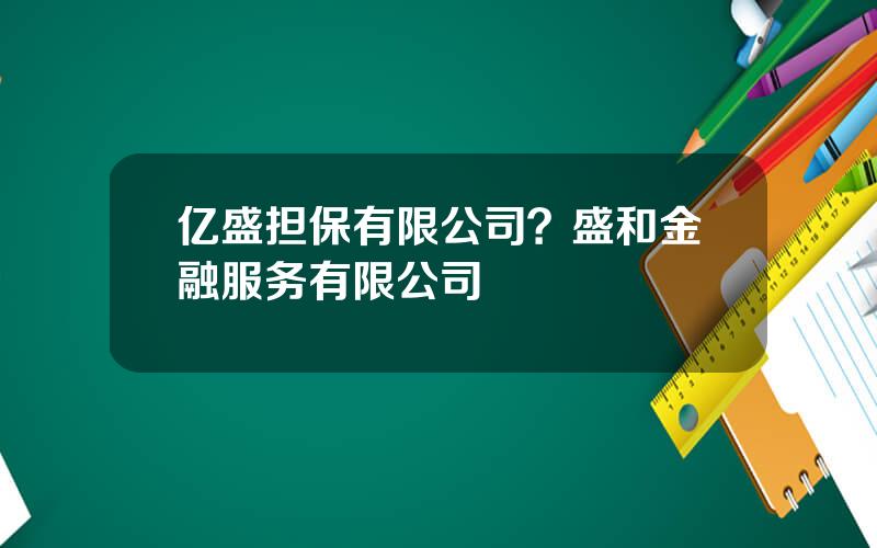 亿盛担保有限公司？盛和金融服务有限公司