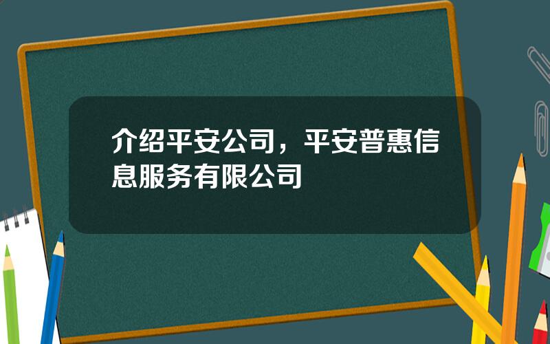 介绍平安公司，平安普惠信息服务有限公司