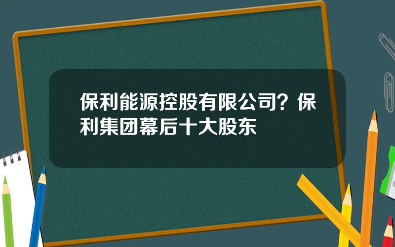 保利能源控股有限公司？保利集团幕后十大股东