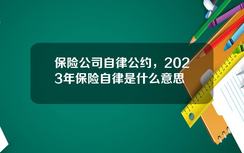 保险公司自律公约，2023年保险自律是什么意思