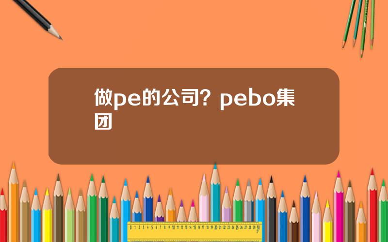 做pe的公司？pebo集团