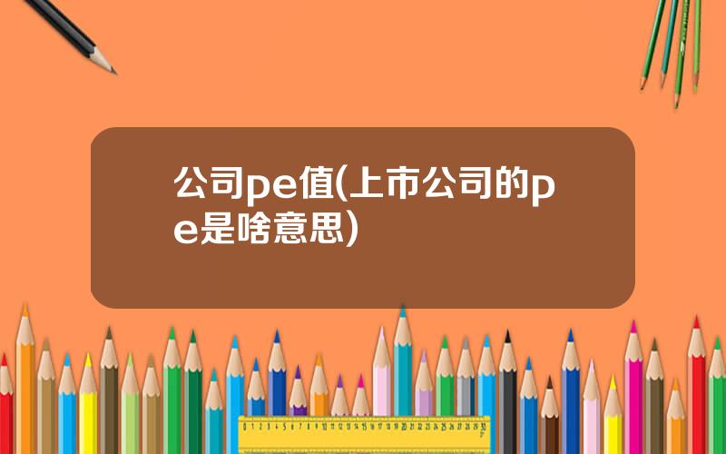 公司pe值(上市公司的pe是啥意思)