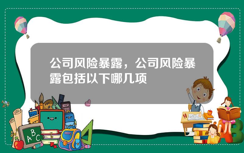 公司风险暴露，公司风险暴露包括以下哪几项