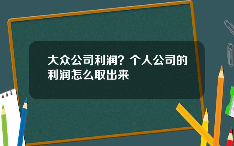 大众公司利润？个人公司的利润怎么取出来