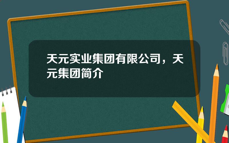 天元实业集团有限公司，天元集团简介