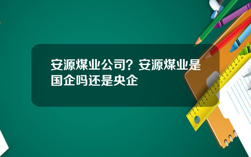 安源煤业公司？安源煤业是国企吗还是央企