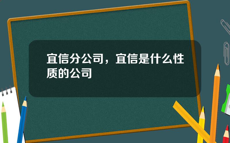 宜信分公司，宜信是什么性质的公司