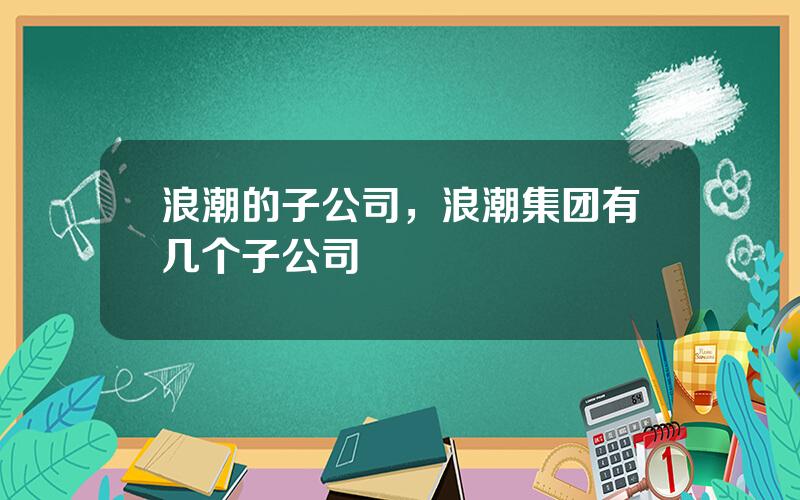 浪潮的子公司，浪潮集团有几个子公司