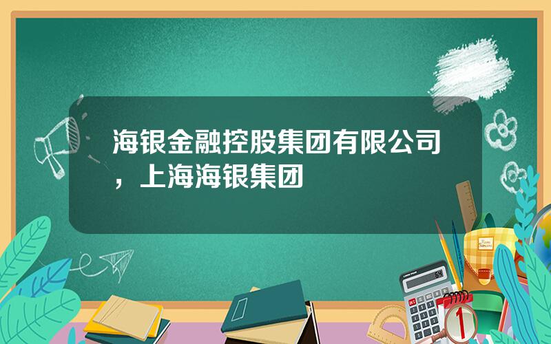 海银金融控股集团有限公司，上海海银集团