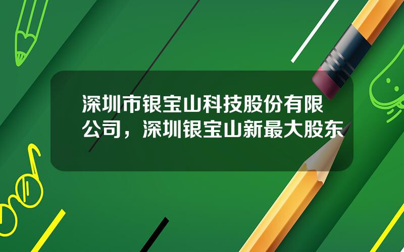 深圳市银宝山科技股份有限公司，深圳银宝山新最大股东