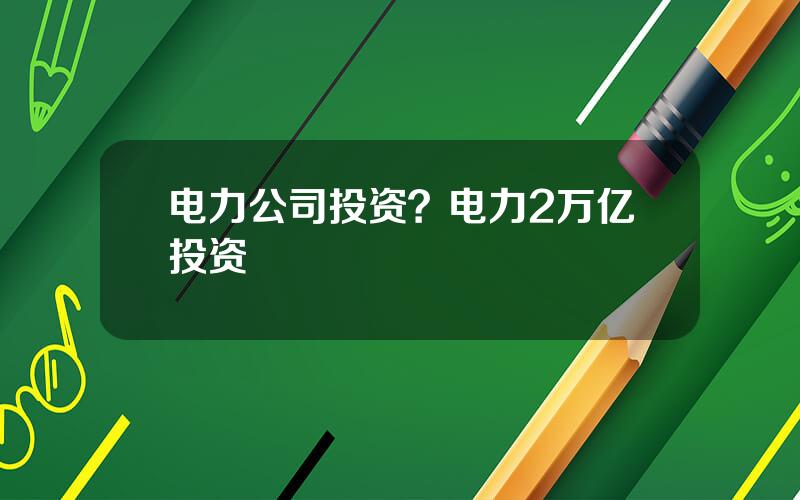 电力公司投资？电力2万亿投资